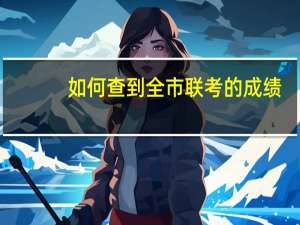 如何查到全市联考的成绩