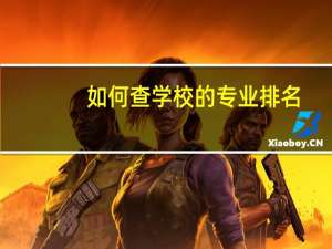 如何查学校的专业排名