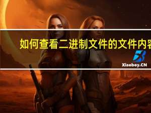 如何查看二进制文件的文件内容