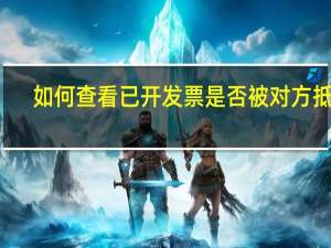 如何查看已开发票是否被对方抵扣