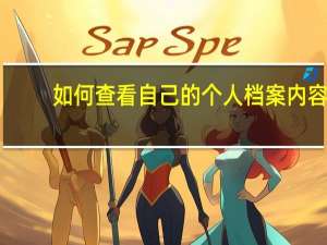 如何查看自己的个人档案内容（如何查看自己的个人征信）