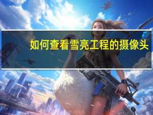如何查看雪亮工程的摄像头