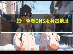 如何查看DNS服务器地址