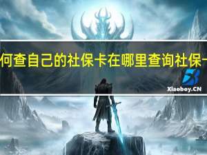 如何查自己的社保卡在哪里　查询社保卡怎么查