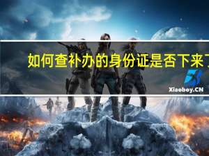 如何查补办的身份证是否下来了