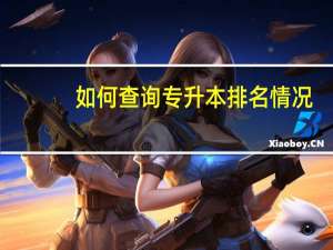 如何查询专升本排名情况