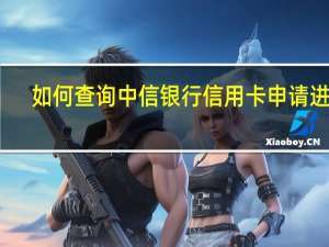 如何查询中信银行信用卡申请进度（如何查询中信银行信用卡申请进度）