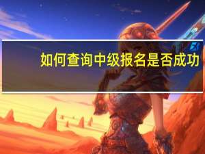 如何查询中级报名是否成功