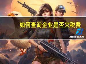 如何查询企业是否欠税费