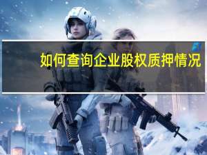 如何查询企业股权质押情况