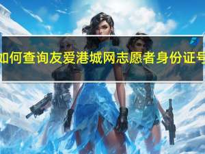 如何查询友爱港城网志愿者身份证号？