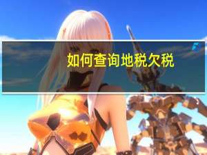 如何查询地税欠税