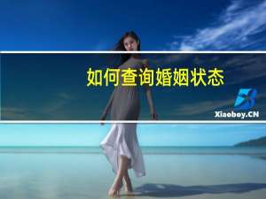 如何查询婚姻状态