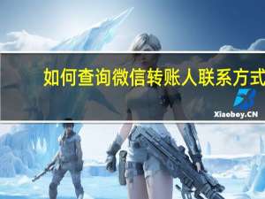 如何查询微信转账人联系方式（如何查询微信转账记录）