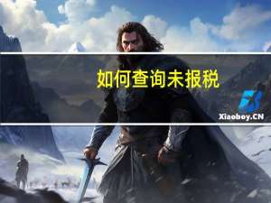 如何查询未报税