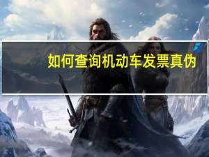 如何查询机动车发票真伪？