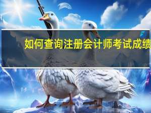 如何查询注册会计师考试成绩_