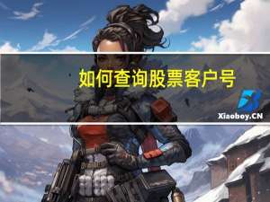 如何查询股票客户号