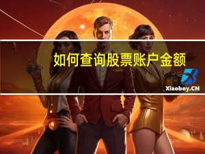 如何查询股票账户金额