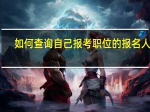 如何查询自己报考职位的报名人数