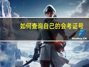 如何查询自己的会考证号