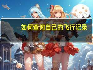 如何查询自己的飞行记录
