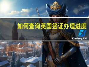 如何查询英国签证办理进度