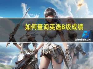 如何查询英语B级成绩