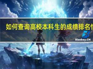 如何查询高校本科生的成绩排名情况