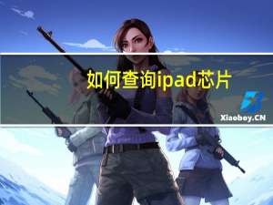 如何查询ipad芯片
