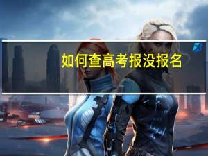 如何查高考报没报名
