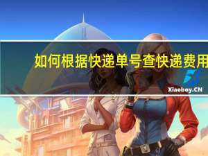 如何根据快递单号查快递费用