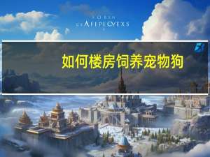 如何楼房饲养宠物狗