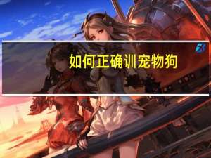 如何正确训宠物狗