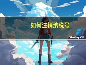 如何注销纳税号