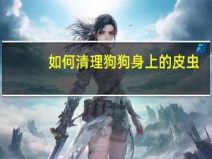 如何清理狗狗身上的皮虫