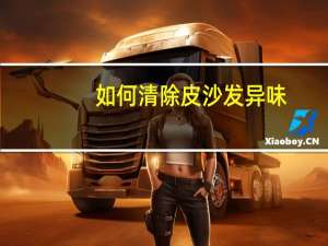 如何清除皮沙发异味