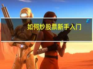 如何炒股票新手入门