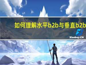 如何理解水平b2b与垂直b2b