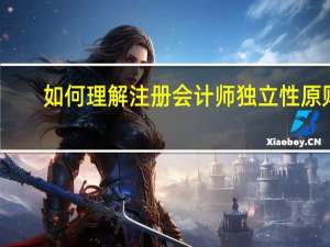 如何理解注册会计师独立性原则