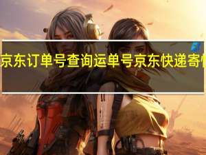 如何用京东订单号查询运单号 京东快递寄快递查询单号