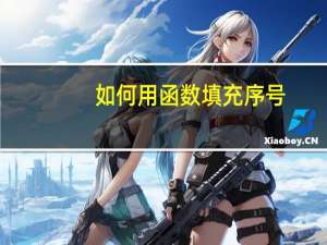 如何用函数填充序号