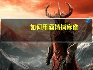 如何用酒精捕麻雀