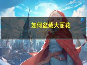 如何盆栽大丽花