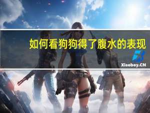 如何看狗狗得了腹水的表现