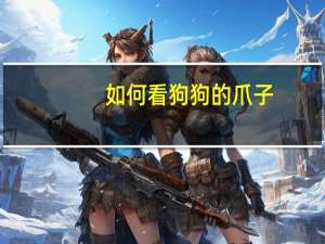 如何看狗狗的爪子