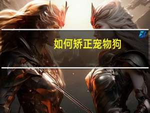 如何矫正宠物狗