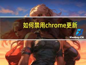 如何禁用chrome更新