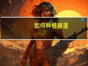 如何种植睡莲