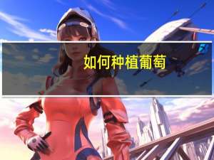 如何种植葡萄